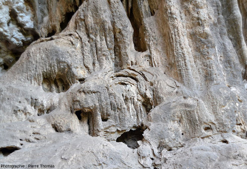 Vue de détail de la structure interne d'une coulée stalagmitique, qui semble aussi un peu déviées vers la droite (vers la lumière), vallée du Wadi Darbat (Oman)