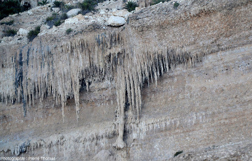 Vue de détail sur les stalactites pendant le long des falaises d'Hasik, Oman