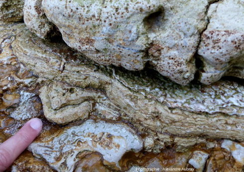 Détail des lamines stromatolithiques