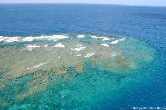 Vue de la pointe Est du récif annexe de Moore Reef, l'ile au premier plan de la figure 1