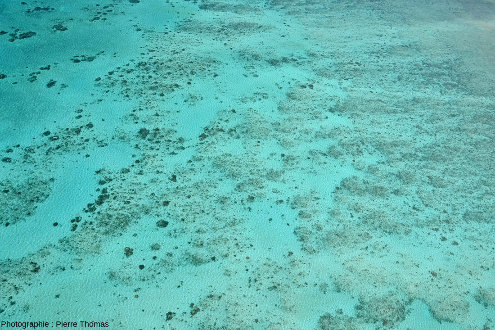 Vue sur l'intérieur du quasi-lagon avec des petits récifs qui dépassent du sable, Moore Reef