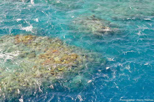 Vue rapprochée de récifs isolés au sein du quasi-lagon de Moore Reef