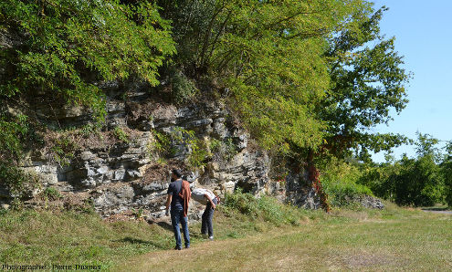 Ancien front de taille au voisinage de la D9 près de Régny (Loire) montrant les couches de calcaire du Viséen moyen