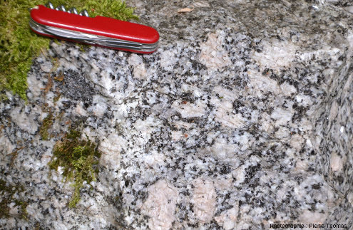 Vue d'un secteur du front de taille de la carrière de Saint-Julien-la-Vêtre où les méga-cristaux de feldspath du granite sont de couleur rosée
