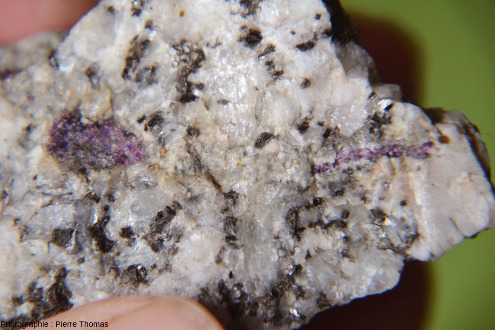 Fluorite (violette) dans le granite de Saint-Julien-la-Vêtre