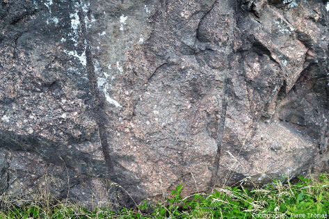 Granite de faciès porphyroïde sombre, riche en amphiboles et en petits feldspaths rose-orangé foncé (sans doute des plagioclases anormalement riches en Fe3+) et contenant de gros feldspaths à structure rapakivi