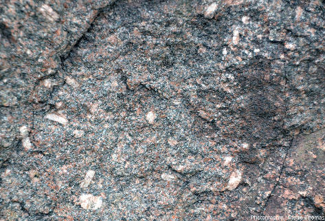 Vue rapprochée sur le granite de faciès porphyroïde sombre, riche en amphiboles et en petits feldspaths rose-orangé foncé (sans doute des plagioclases anormalement riches en Fe3+) et contenant de gros feldspaths à structure rapakivi