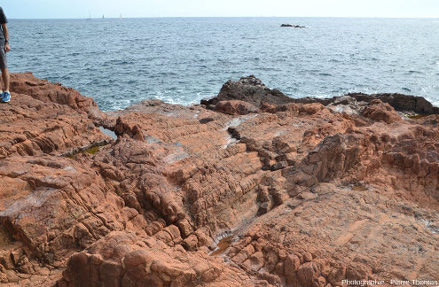 Prismes horizontaux de rhyolite permienne rouge, sentier littoral de la Batterie des Lions, Saint-Raphaël, Var