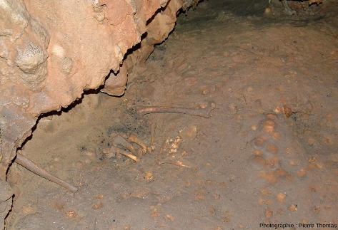Site avec du charbon de bois, des ossements animaux ainsi qu'un fémur humain dans la grotte de Foissac (Aveyron)