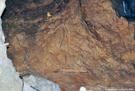 Traces de coups de “pioche“ néolithique dans une masse d'argile qui était en cours d'extraction au moment de la fin de l'occupation de la grotte de Foissac (Aveyron)