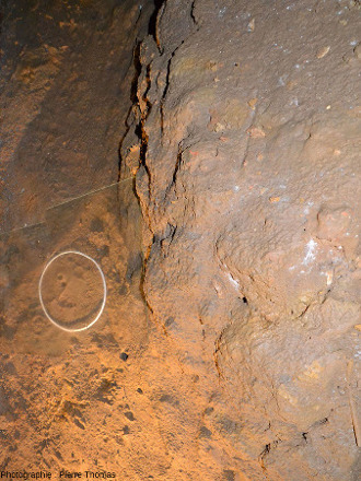 Traces de pied d'enfant au pied d'une paroi argileuse, grotte de Foissac (Aveyron)