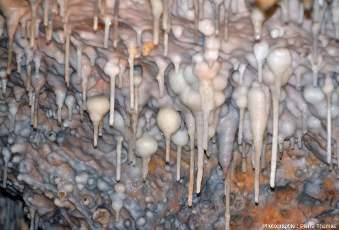 Zoom sur des boules (creuses) de calcite présente au plafond de certaines salles de la grotte de Foissac (Aveyron)