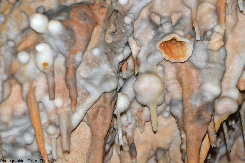 Boules (creuses) de calcite présente au plafond de certaines salles de la grotte de Foissac (Aveyron)