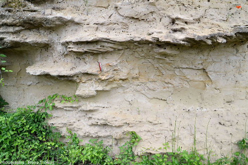 Vue rapprochée sur un affleurement de molasse miocène à environ 200 m au Sud de l'affleurement précédent, montrant des flute casts et des galets mous au centre de l'image, juste à droite du couteau suisse