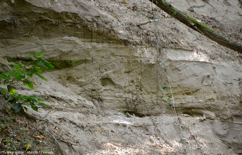Exemple de stratifications obliques sur les parois du canyon