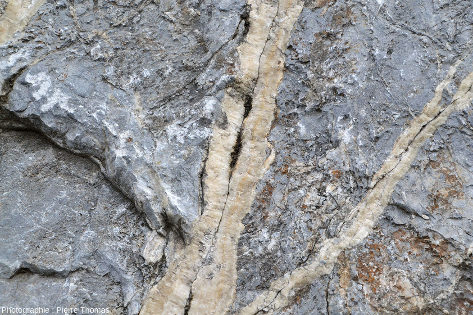Vue rapprochée de filons de calcite dans le marbre urgonien près de Sournia, Pyrénées-Orientales