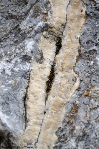 Zoom sur un filon de calcite et ses géodes centrales dans le marbre urgonien près de Sournia, Pyrénées-Orientales