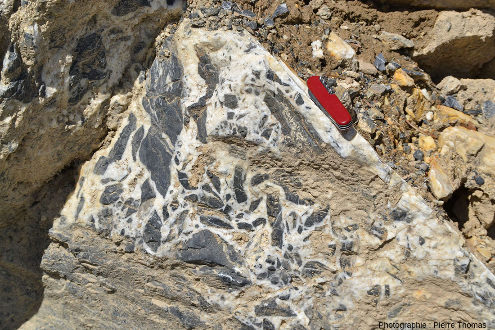 Détail de cette brèche de faille cimentée par la calcite blanche, près de Réotier, Hautes-Alpes
