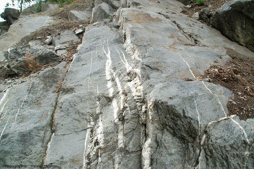 Réseau de fentes de tensions et de petits filons remplis de quarts recoupant des grès carbonifères au-dessus de La Côte d'Aime, Savoie
