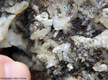 Zoom sur des cristaux de quartz parfaitement automorphes dans le petit four à cristaux de la figure 18
