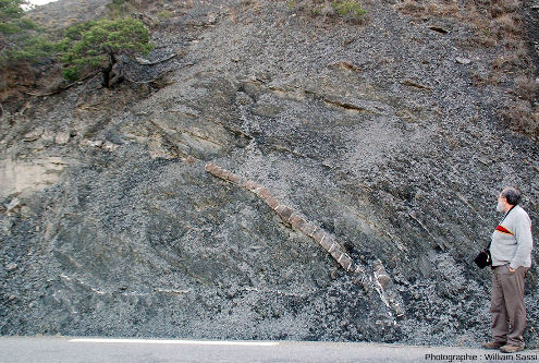 Couche de calcaire tronçonnée par des fentes de tension remplies de calcite au sein de marnes schistosées quasiment dépourvues de fentes de calcites, bord de la D954, Savines-le-Lac (Hautes-Alpes)
