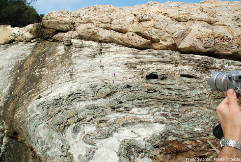Vue sur l'affleurement de méta-calcaires à boudins et plis, ile d'Elbe (Italie)