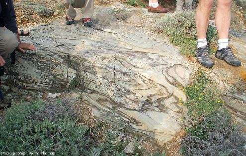 Surface horizontale (due à l'érosion marine) montrant la complexité des plis affectant les marbres, ile d'Elbe (Italie)