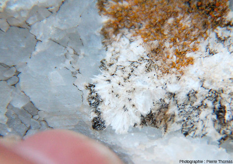 Détail sur un niveau de marbre fait de calcite gris-clair contenant des cristaux blancs formant des aiguilles : des cristaux de wollastonite