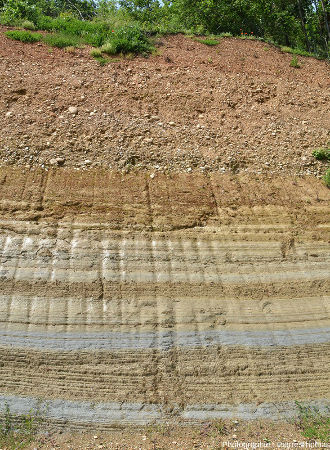 Détail sur la limite entre les sédiments fluvio-lacustro-glaciaires grossiers et les sédiment pliocènes marins fins et bien stratifiés, Chanas (Isère)