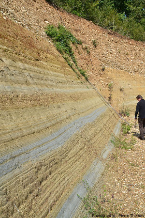 Détail sur les sédiments marins du Pliocène inférieur, alternance d'argiles grises et d'argiles sableuses jaunes, Chanas (Isère)