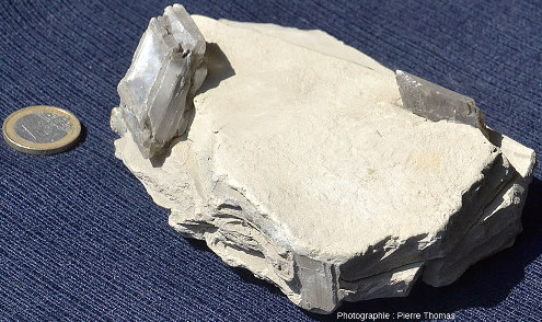 Autre vue de cet échantillon stratifié d'argile légèrement calcaire présentant des cristaux automorphes de gypse