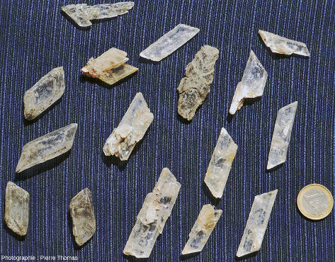 Seize cristaux de gypse du Trièves ramassés au cours de diverses promenades dans le Trièves entre les années 1980 et 2020 montrant la variété des formes cristallines de ces gypses