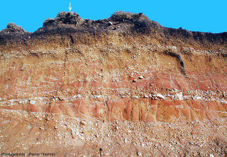 Vue sur un fragment de paroi de tranchée dans les couches rouges de Pénestin (Morbihan)
