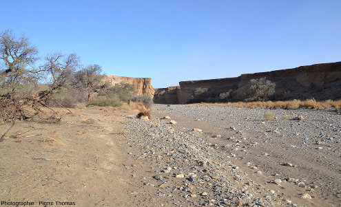 Parcours d'aval en amont tout le long du canyon de Sesriem, Namibie, vue 1/11
