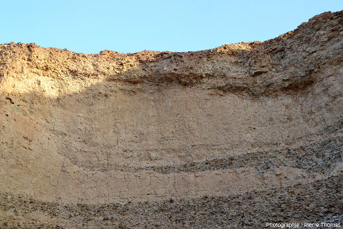 Lit argilo-sableux presque au sommet de la falaise du canyon de Sesriem (Namibie), à 1 ou 2 m sous la surface actuelle