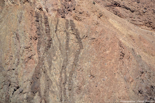 Zoom sur un essaim de dykes de dolérite (770 Ma) intrusif dans les roches métamorphiques du Namaqualand (1100 Ma)