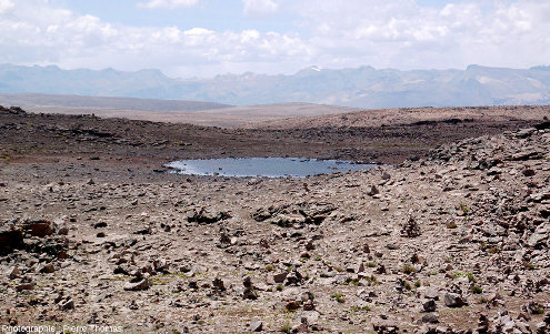 Paysage typique de l'Altiplano (Pérou)