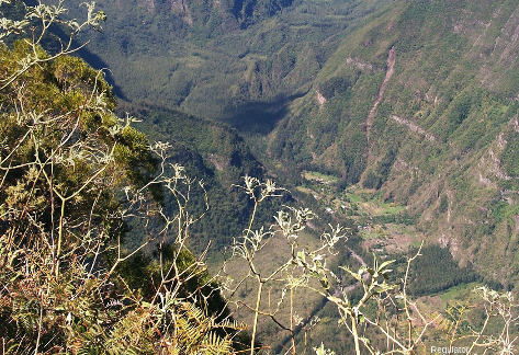 Vue sur la rive gauche de la vallée des Remparts, ile de La Réunion, montrant des ”strates” parfois épaisses