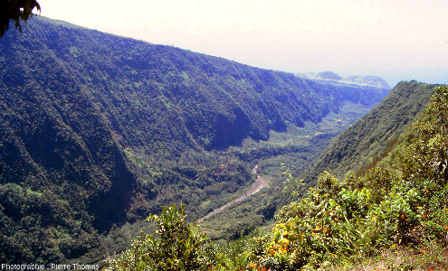 Vue sur l'aval de la vallée de la rivière Langevin, ile de La Réunion, photographié depuis Grand-Coude