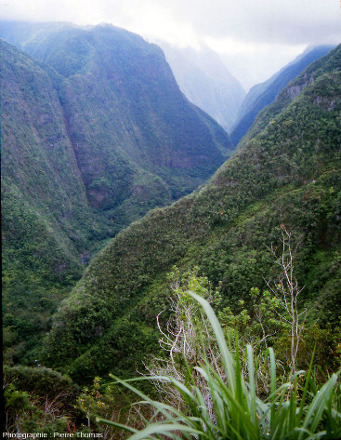 La vallée de la rivière de l'Est, ile de La Réunion