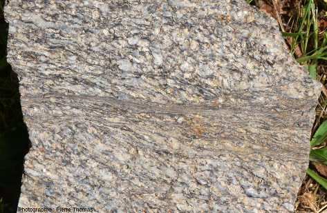 Bande d'ultramylonite dans un granite du massif de l'Agly (Pyrénées-Orientales)
