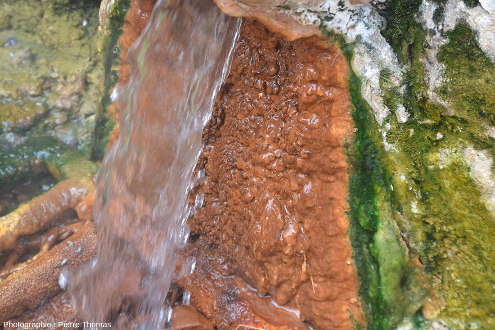 Zoom sur l'eau sortant de la “gargouille” de la source du Par, Chaudes-Aigues, Cantal