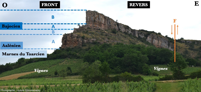 Détail des différentes formations de la Roche de Solutré (Saône-et-Loire)