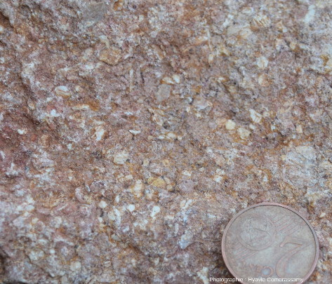Détail d'une roche dans les éboulis au pied de la Roche de Solutré (Saône-et-Loire)