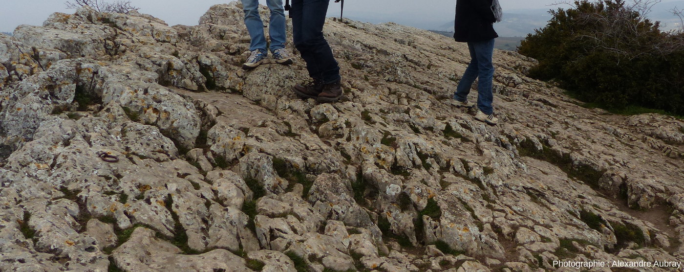 Formation marno-calcaire — Wikipédia