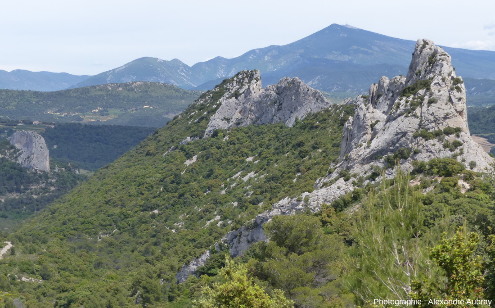Vue vers l'Est sur les Dentelles du Grand Montmirail (Vaucluse) au premier plan et le Mont Ventoux en arrière-plan