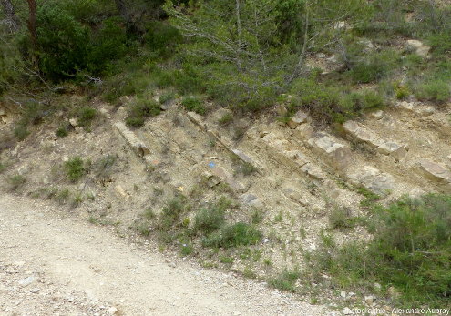 Alternances marno-calcaires du Crétacé inférieur à l'Est des Dentelles sarrasines (Vaucluse)