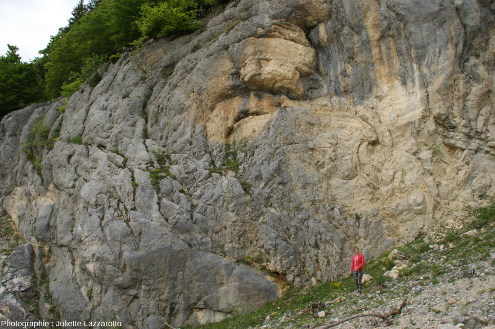Vue du cœur du pli en champignon de la Cernaise (Jura)