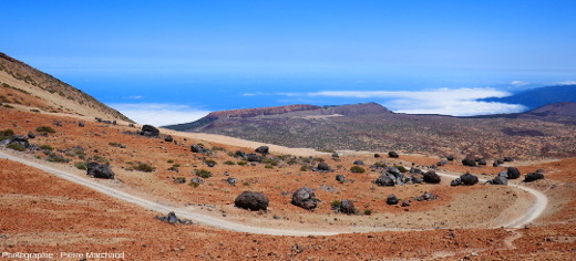 Los Huevos del Teide, ces “oeufs” du Teide sur fond de ponces blanches, ile de Tenerife, archipel des Canaries
