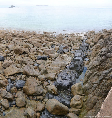Filon de dolérite recoupant les migmatites de Dinard (Ille et Vilaine), le long de la promenade de la Pointe de la Malouine